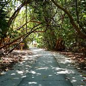 Dr. Von D Mizell State Park