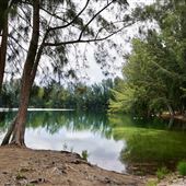 Wolf Lake Park
