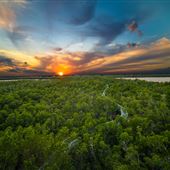 Anne Kolb Nature Center - West Lake Park