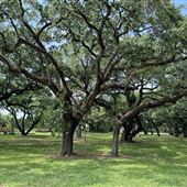 Charles F. Vollman Park