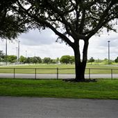 Plantation Central Park