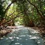 Dr. Von D Mizell State Park