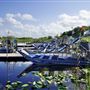 Sawgrass Recreation Park