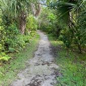 Fern Forest Nature Center