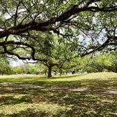 T.Y. (Topeekeegee Yugnee) Park