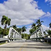 Snow-Reed Swing Bridge
