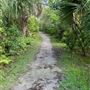 Fern Forest Nature Center