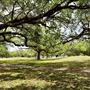 T.Y. (Topeekeegee Yugnee) Park