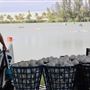 Aqua Golf Driving Range