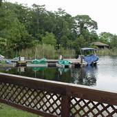 Hampton Pines Park