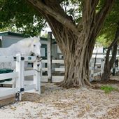 Sand & Spurs Equestrian Park