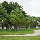 Holiday Park