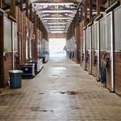 Pine Hollow Equestrian Center