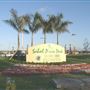 Sabal Pines Park