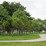 Holiday Park