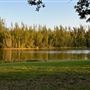 Markham Park