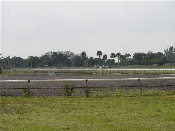 Tradewinds Stables At Tradewinds Park
