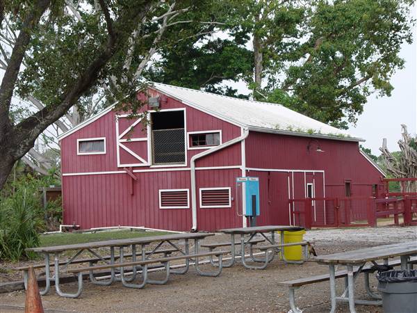 Tradewinds Stables At Tradewinds Park