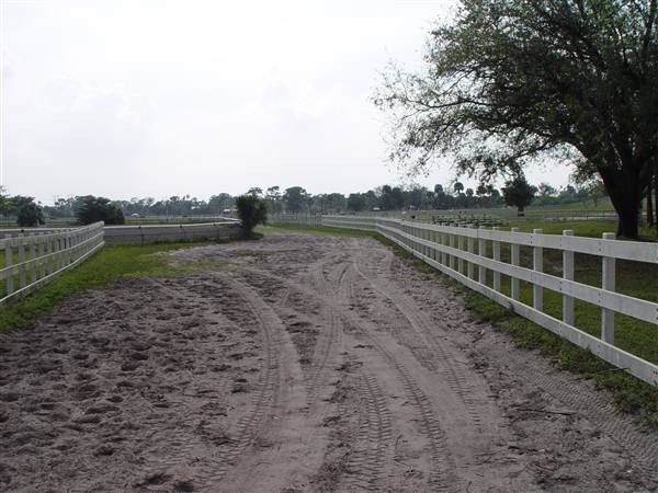 Tradewinds Stables At Tradewinds Park