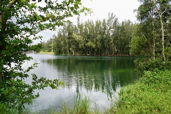 Wolf Lake Park