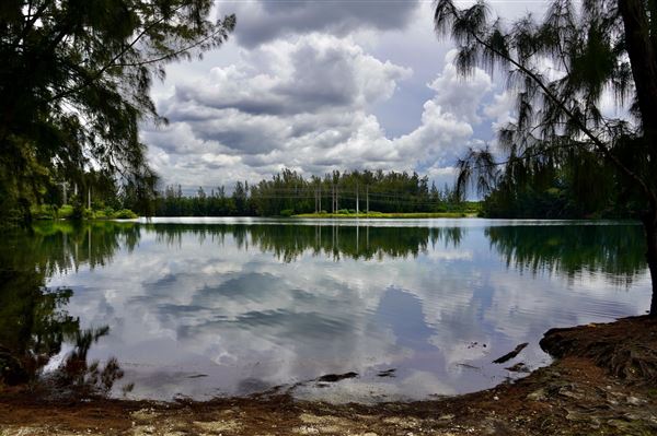 Wolf Lake Park