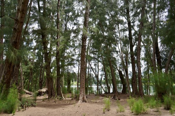Wolf Lake Park