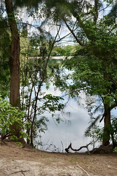 Wolf Lake Park