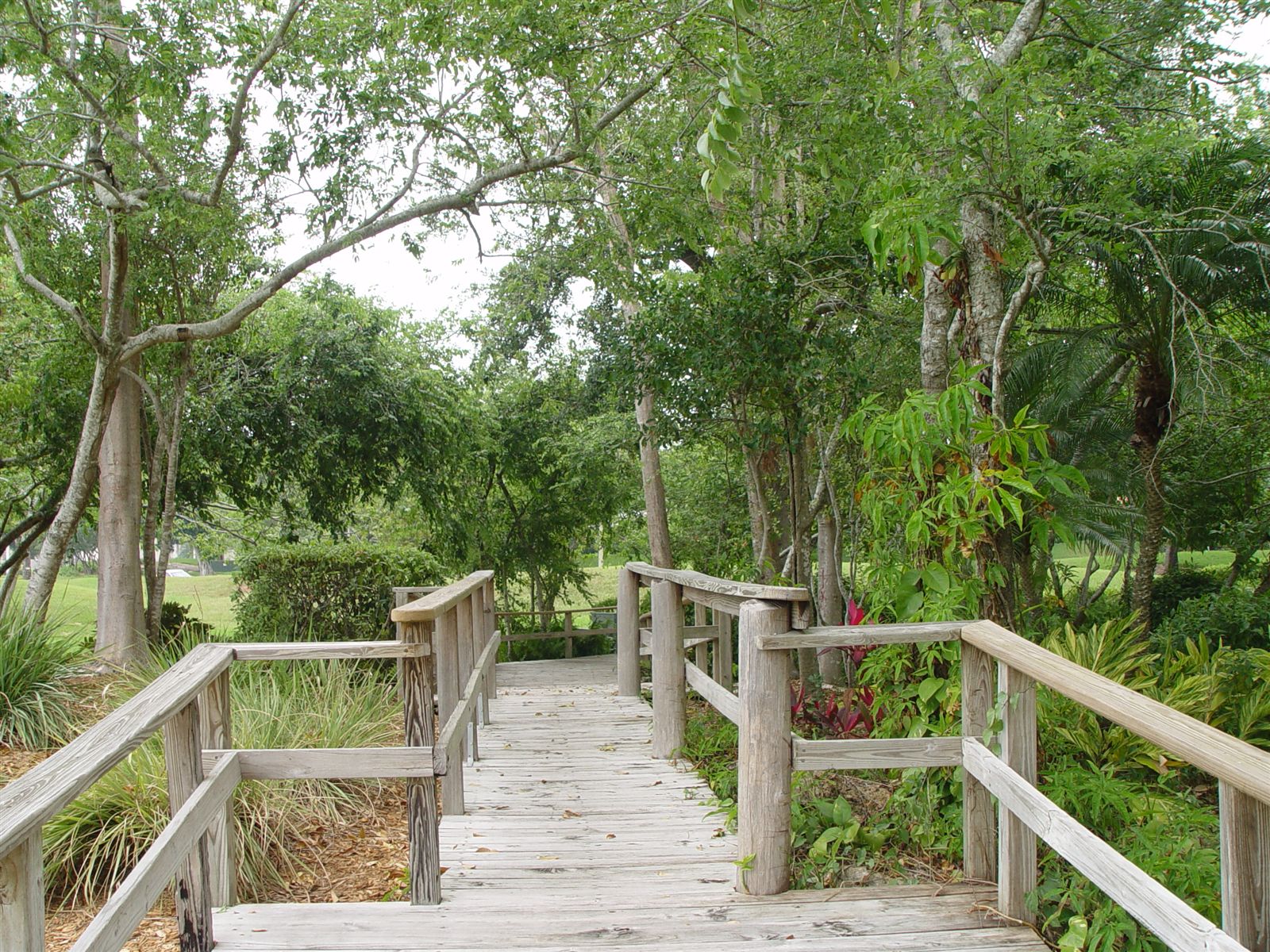 Locations Hub - Peace Mound Park