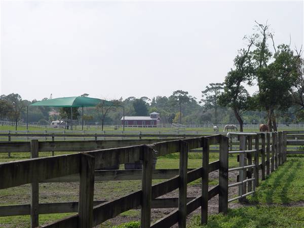 Tradewinds Stables At Tradewinds Park