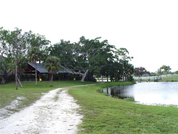 Tradewinds Stables At Tradewinds Park