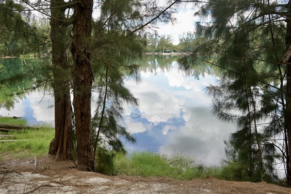 Wolf Lake Park
