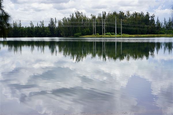 Wolf Lake Park