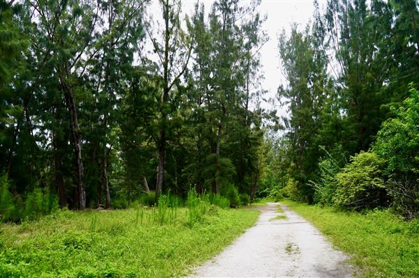 Wolf Lake Park