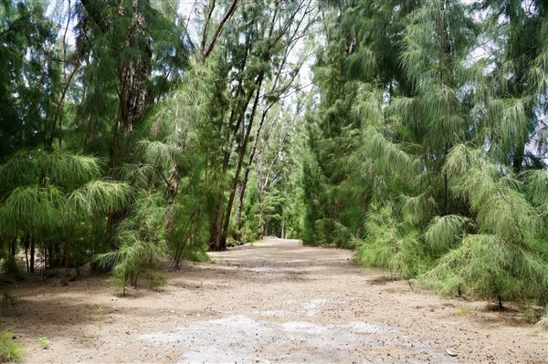 Wolf Lake Park