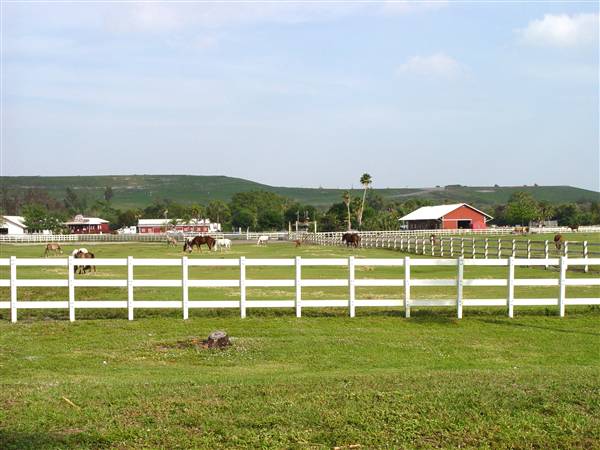 Tradewinds Stables At Tradewinds Park