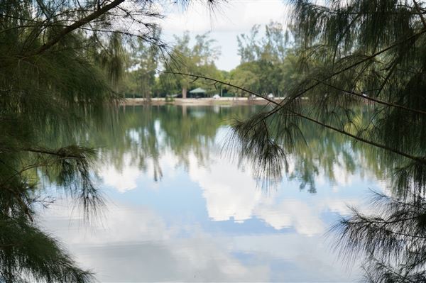 Wolf Lake Park