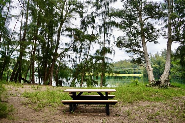 Wolf Lake Park