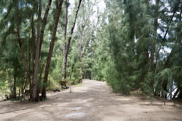 Wolf Lake Park