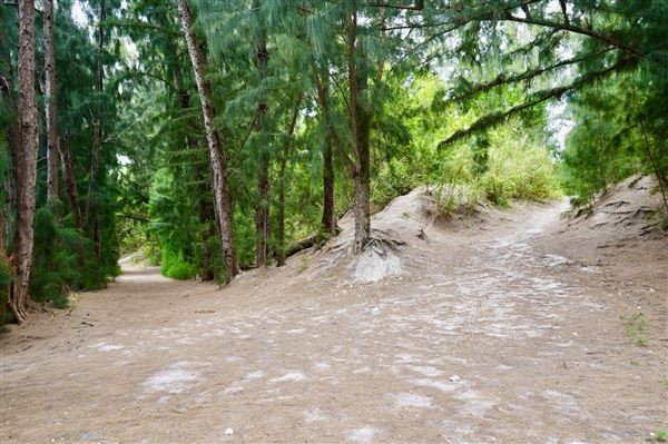 Wolf Lake Park