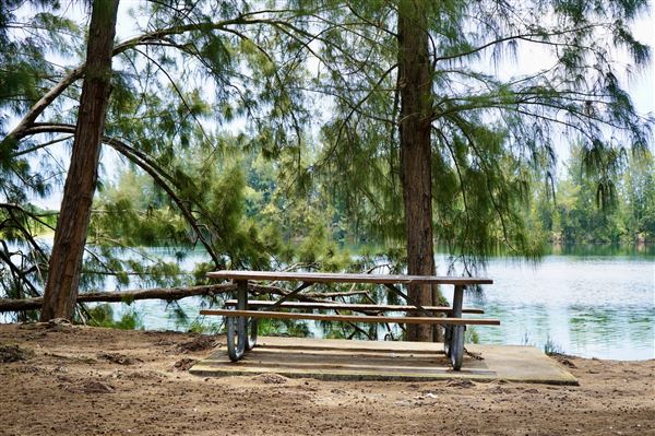 Wolf Lake Park