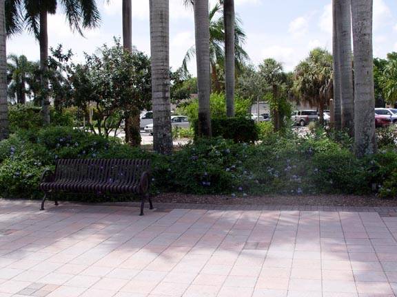 Coconut Creek City Hall