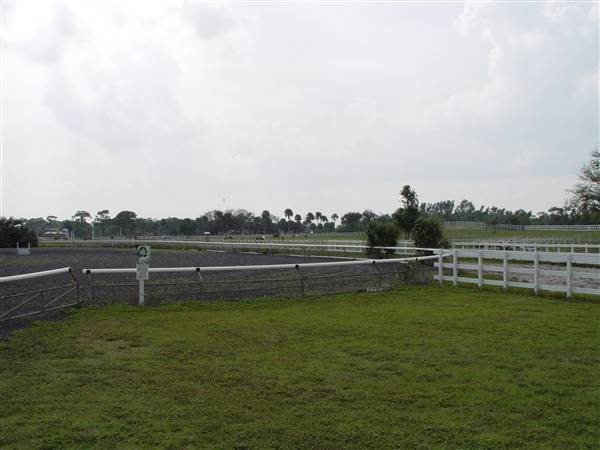Tradewinds Stables At Tradewinds Park