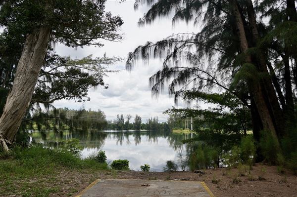 Wolf Lake Park