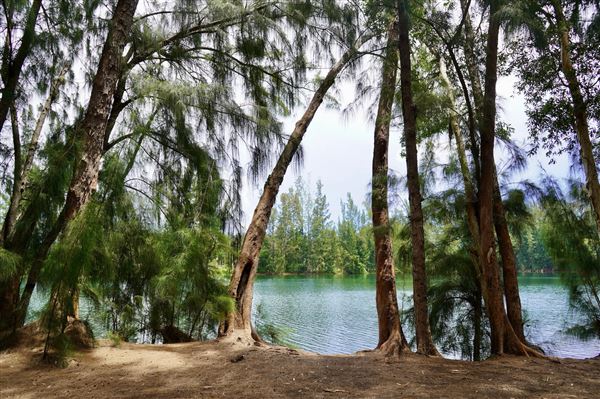 Wolf Lake Park