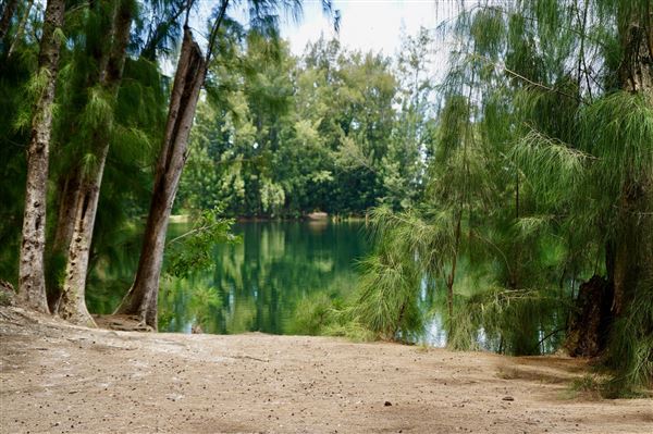 Wolf Lake Park