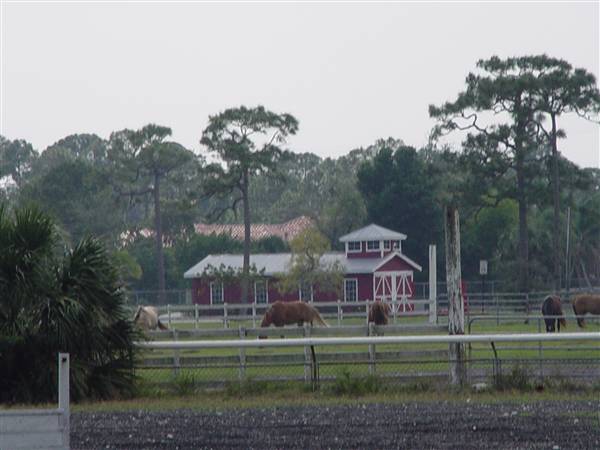 Tradewinds Stables At Tradewinds Park