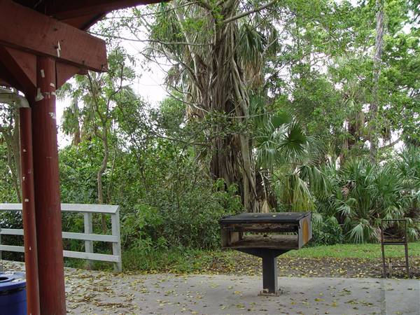 Tradewinds Stables At Tradewinds Park