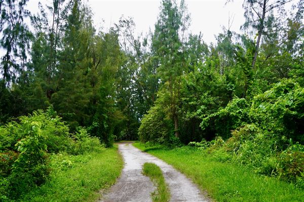 Wolf Lake Park