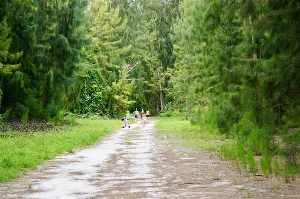 Wolf Lake Park
