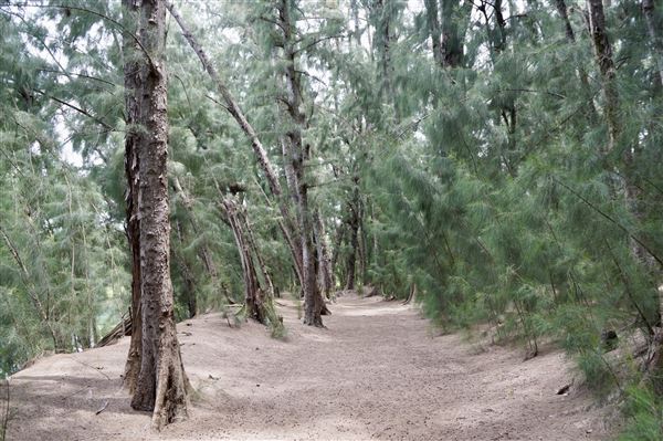 Wolf Lake Park